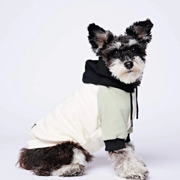 NWT black, olive and cream hoodie for cat or dog - Picture 4 of 6